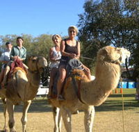 Calamunnda Camel Farm  - NT Tourism