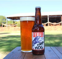 Feral Brewing Company - Accommodation NT