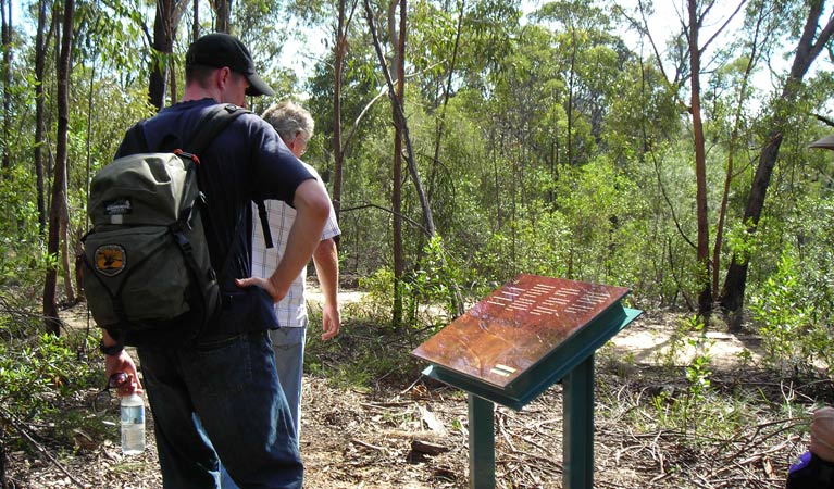 Laguna NSW Accommodation NT
