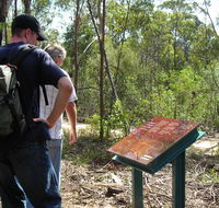 Finchley cultural walk - Accommodation NT