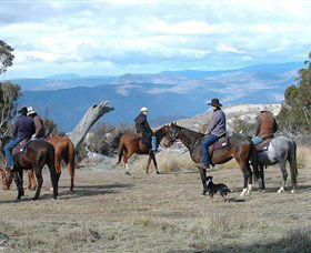 Snowy Wilderness - Accommodation NT 3