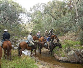 Snowy Wilderness - Accommodation NT 5