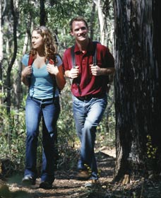 Bibbulmun Track - Accommodation NT 1