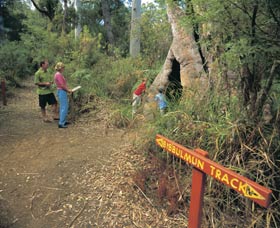 Bibbulmun Track - Accommodation NT 3