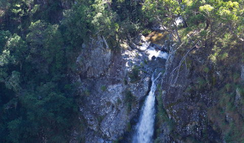 Lyrebird Falls Walking Track - Accommodation NT 0