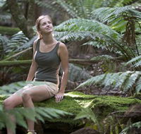 Barrington Tops National Park - Honeysuckle Forest Track - Accommodation NT
