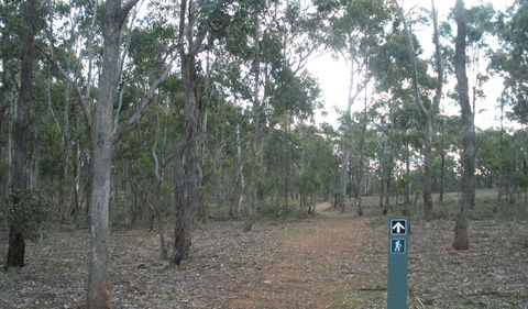 Green Track - NT Tourism 0