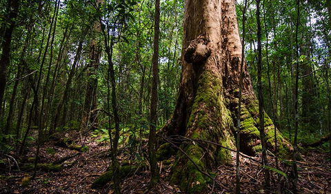 Rocky Crossing Walk - Accommodation NT 1