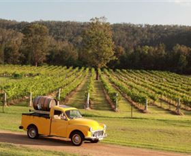 Wollombi Wines - Accommodation NT 2