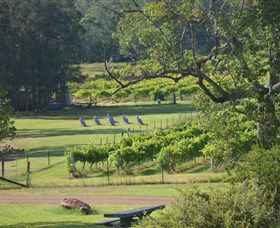 Wollombi Wines - Accommodation NT 8