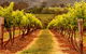 Hunter Valley Wine School - thumb 1