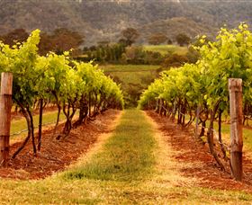 Hunter Valley Wine School - Accommodation NT 1