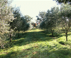 Langdale Farm - Accommodation NT