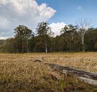 Mummel Gulf National Park - Accommodation NT