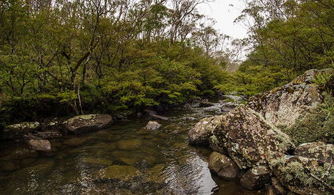 River Walking Track - Accommodation NT 0