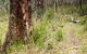 River Walking Track - thumb 1