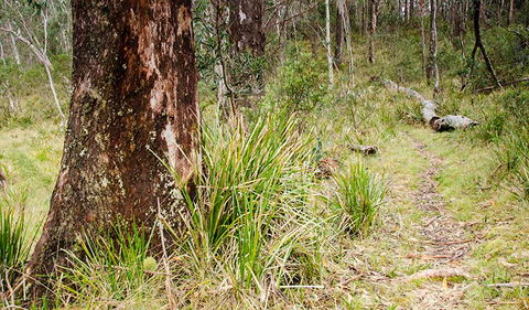 River Walking Track - Accommodation NT 1