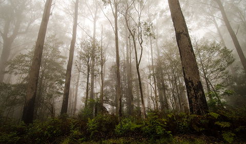 River Walking Track - Accommodation NT 2