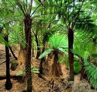 Pegarah Private Nature Reserve  Parenna Place - Accommodation NT