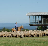 Tobruk Sydney - Accommodation NT