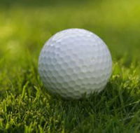 Collier Park Golf Course - Accommodation NT