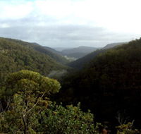 Nattai Gorge Lookout - NT Tourism
