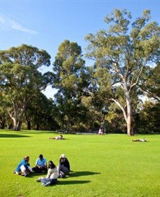 Kings Park And Botanic Garden - NT Tourism 1