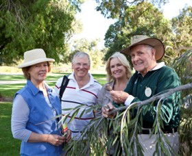 Kings Park And Botanic Garden - NT Tourism 3