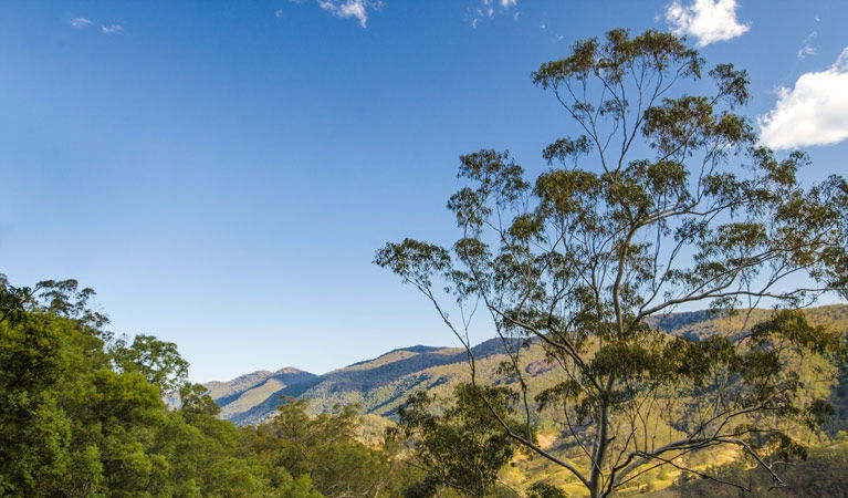 Dewitt NSW Accommodation NT