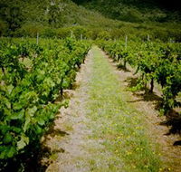 Gartelmann Wines - Accommodation NT