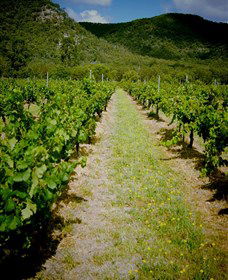 Gartelmann Wines - Accommodation NT 0