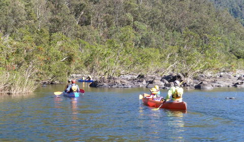 Nymboida National Park - Accommodation NT 1