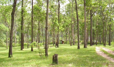 Nymboida National Park - Accommodation NT 2