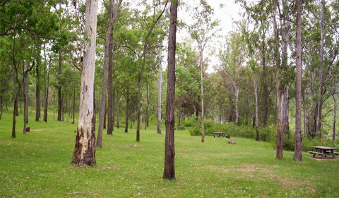 Nymboida National Park - Accommodation NT 3