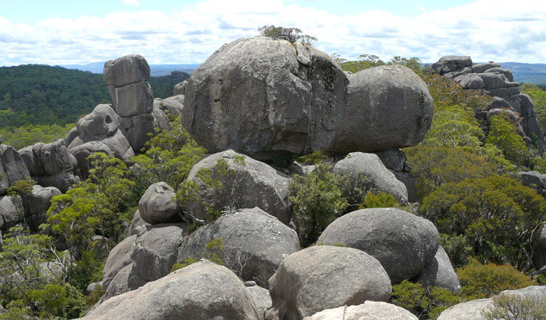 Fernbrook NSW NT Tourism