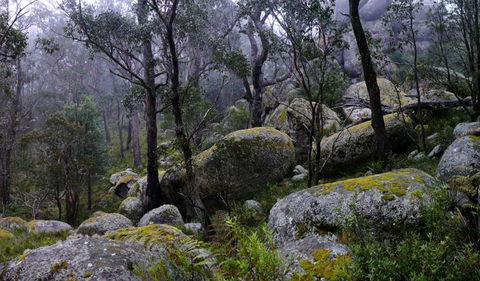 Cathedral Rock National Park - Accommodation NT 2