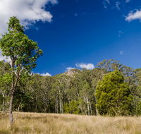 Brush Turkey track - Accommodation NT