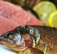 Lovedale Smokehouse Gourmet Pantry Cafe and Masterclasses - Accommodation NT