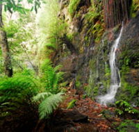 Fairy Bower Falls - Accommodation NT
