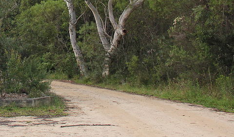 Riverview Walking Track - Accommodation NT 0