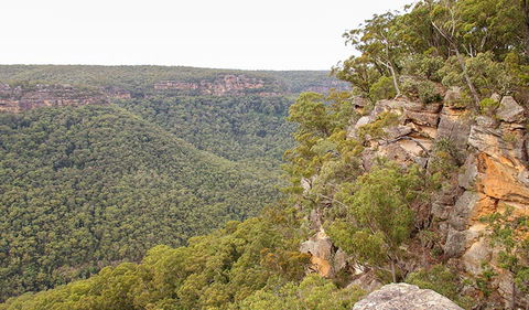 Riverview Walking Track - Accommodation NT 2