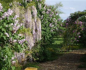 Back O The Moon - Accommodation NT 3