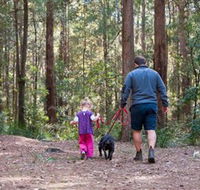 Olney State Forest - Watagan Mountains - Accommodation NT