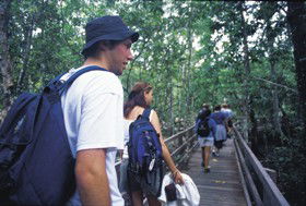 Bellthorpe National Park - Accommodation NT 0
