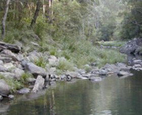 Bellthorpe National Park - Accommodation NT 1