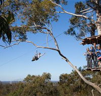 TreeTop Safari - Accommodation NT