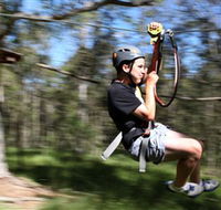 TreeTop Adventure Park Sydney - Accommodation NT