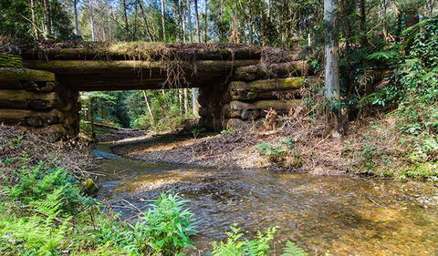 Myrtle Scrub Scenic Drive - Accommodation NT 0