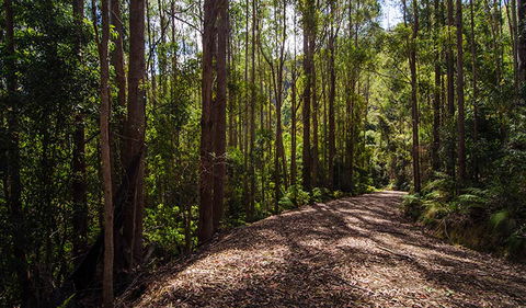 Myrtle Scrub Scenic Drive - Accommodation NT 1