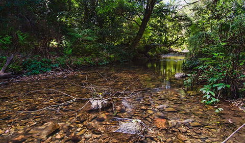 Myrtle Scrub Scenic Drive - Accommodation NT 2